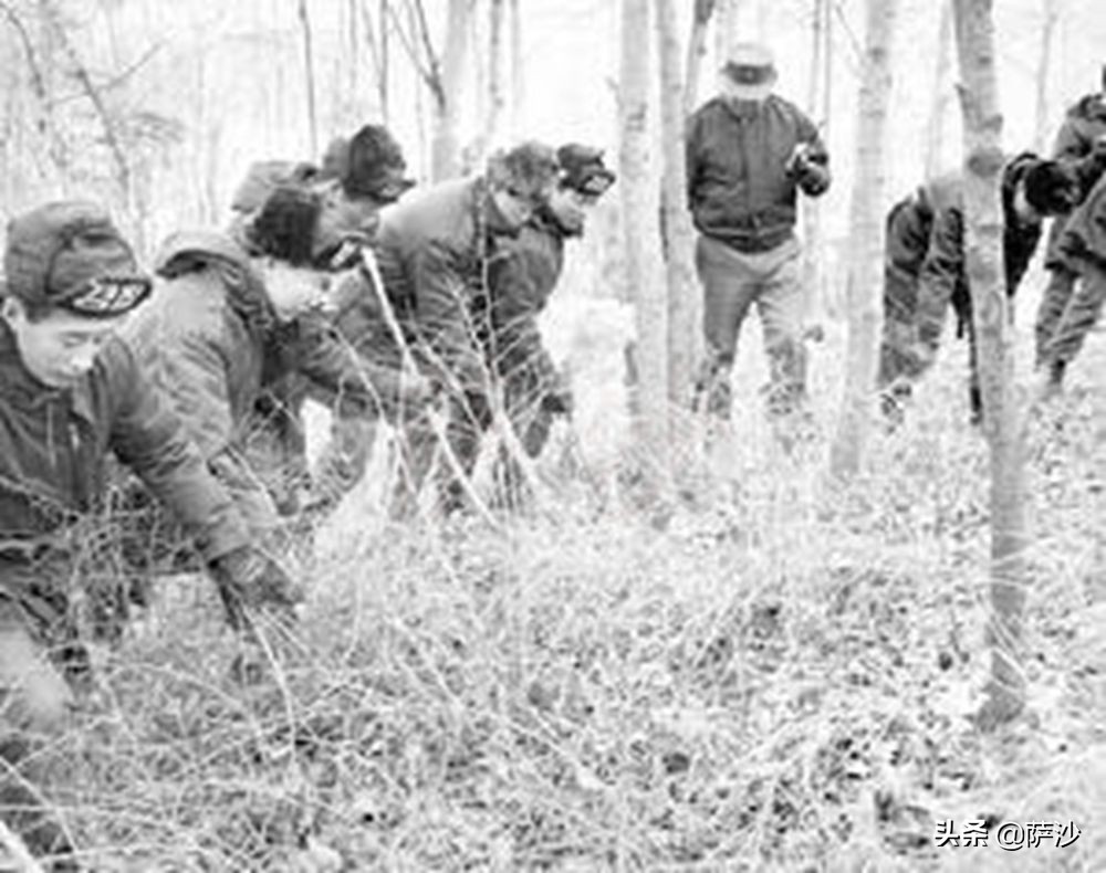 韩国青蛙少年真实案例,韩国失踪青蛙少年分析
