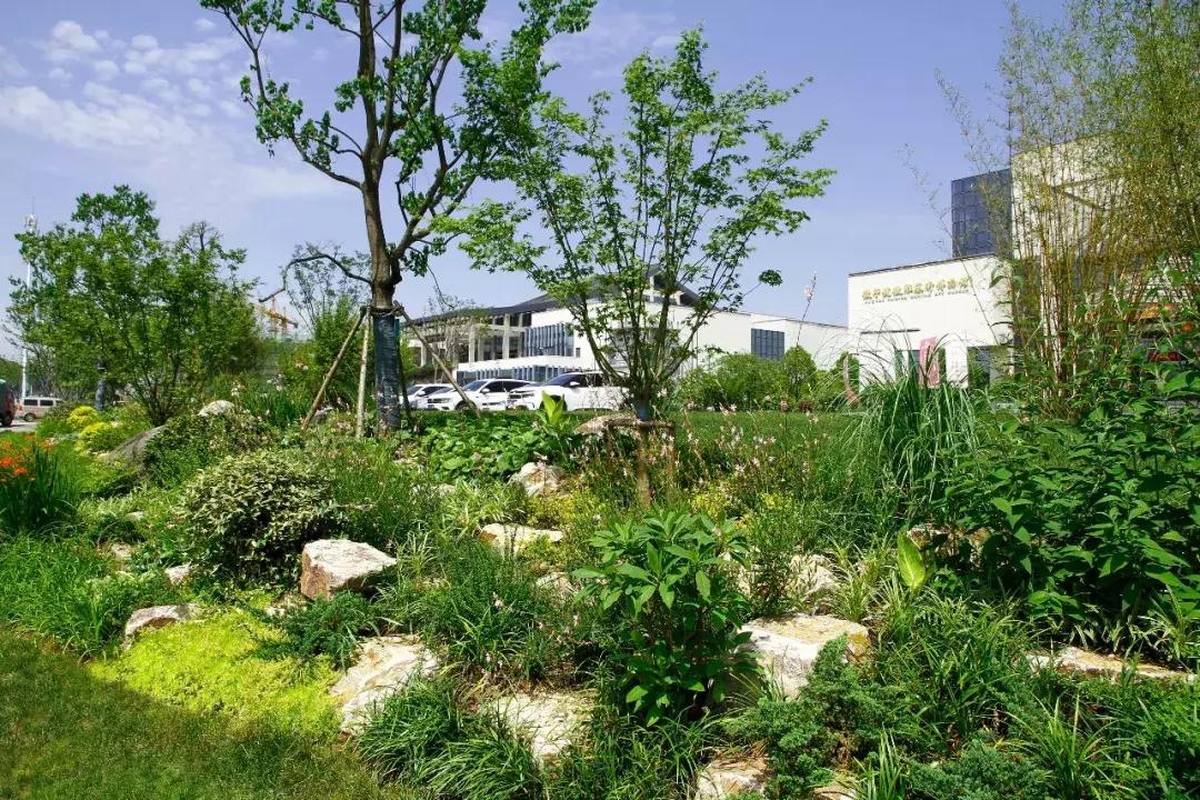 一石百景寸石丈情