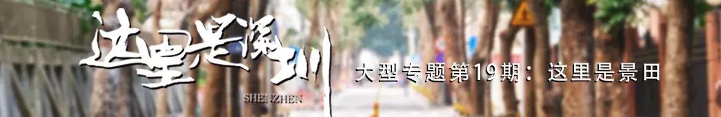 景甜经典片段,景甜童年照