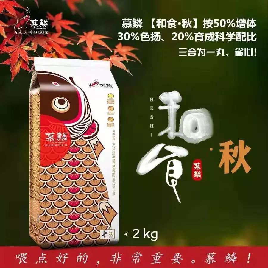 鲤鱼嘴里有没有鱼石,鲤鱼嘴巴没牙齿