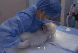 十大不建议去的宠物医院,宠物医院看病坑吗