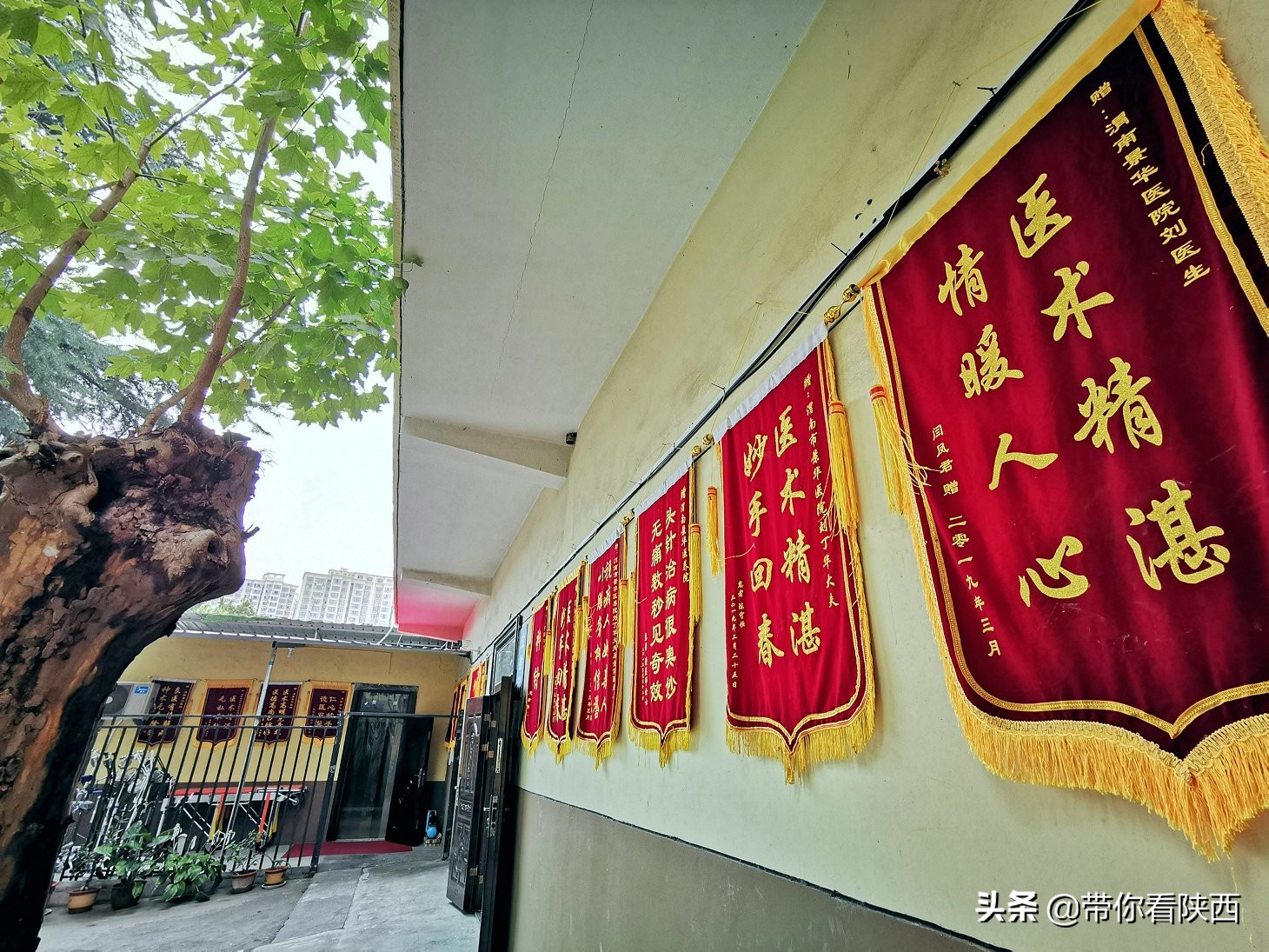 谷泽天下生态农场走进渭南市景华医养院举办重阳节爱心慰问活动