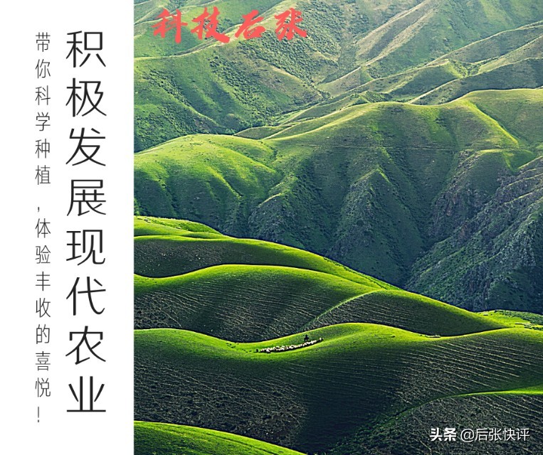 哪种粪肥最适合蔬菜种植做底肥,哪种粪肥最适合做底肥