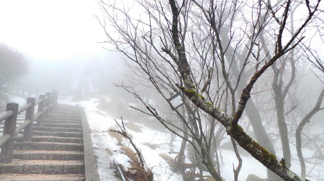 中国游客超少的旅行地,日本人的天堂,不裸不得进!