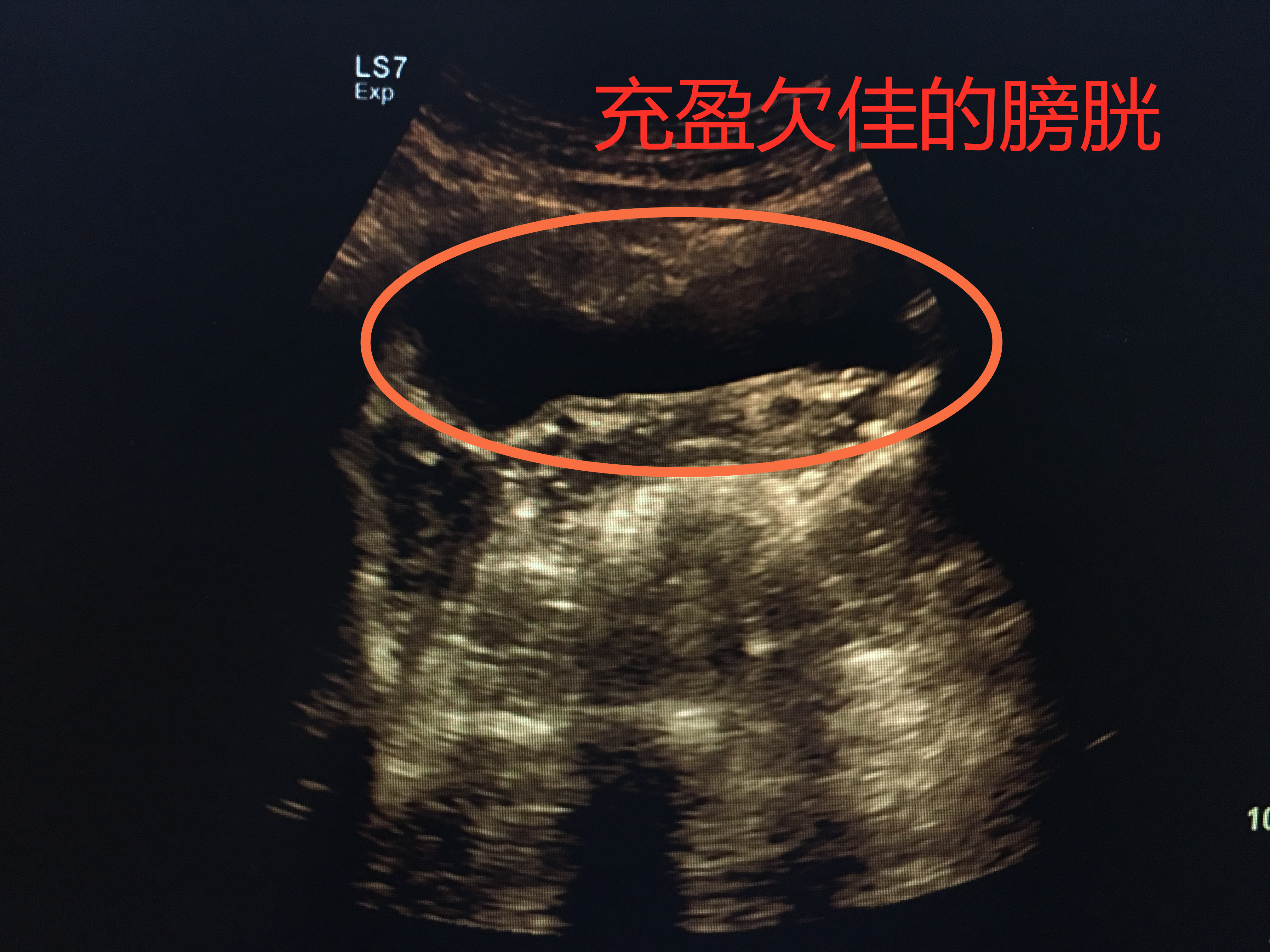 医生说的检查项目我们都必须做吗,医生告诉你应该做哪些检查