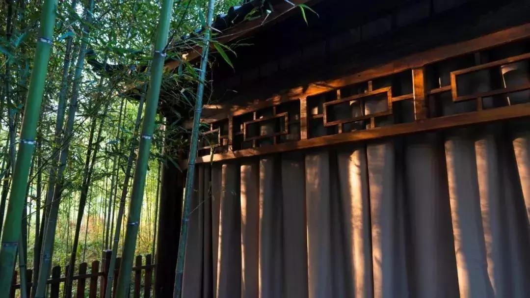 住遍莫干山网红民宿,住遍云南民宿