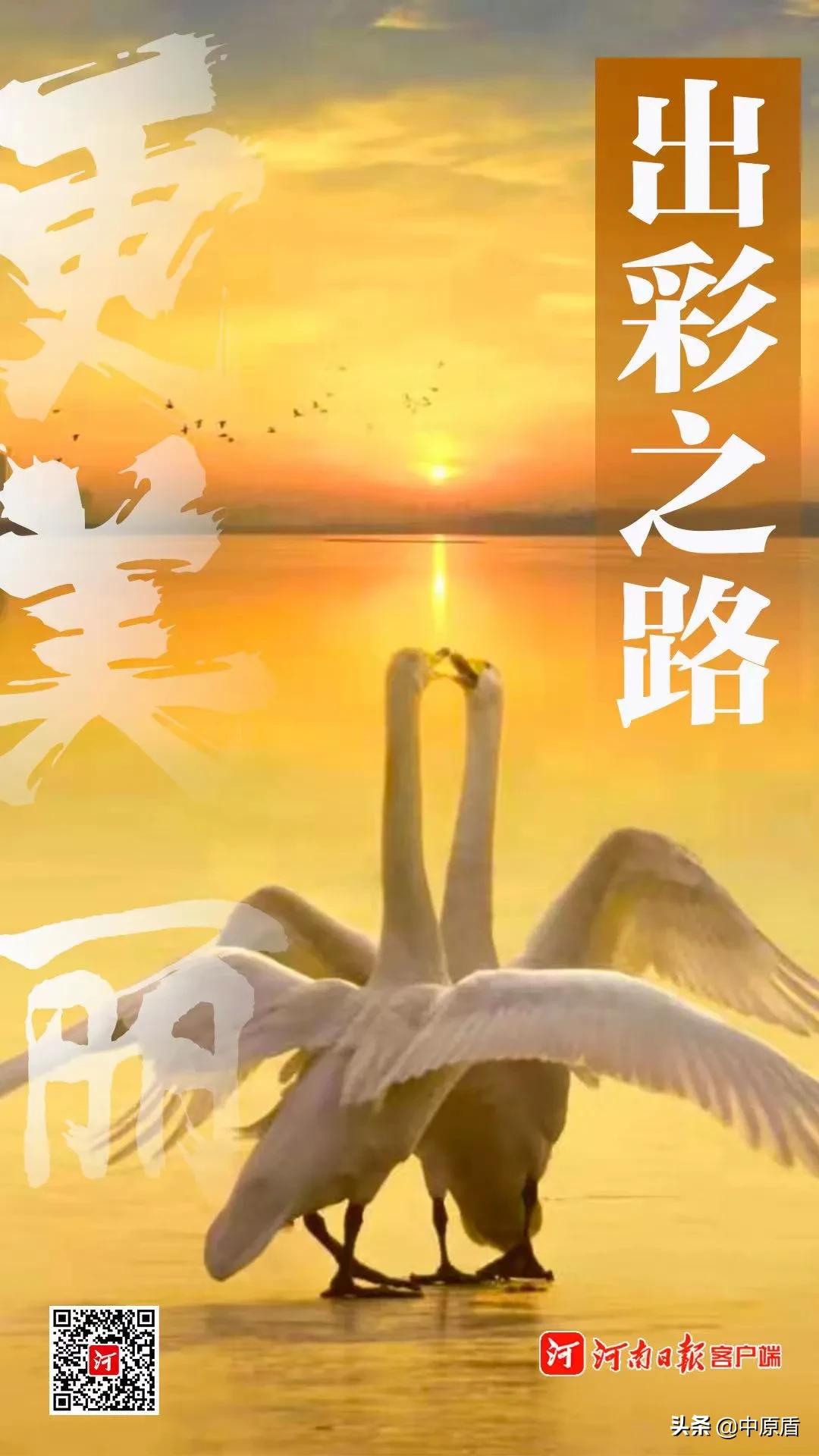 河南以什么出名,河南凭什么要当农业大省