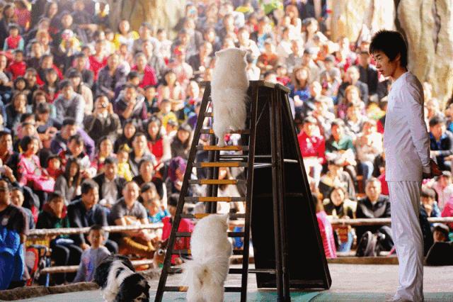 佛山亲子游玩团购推荐,佛山亲子套票一大一小
