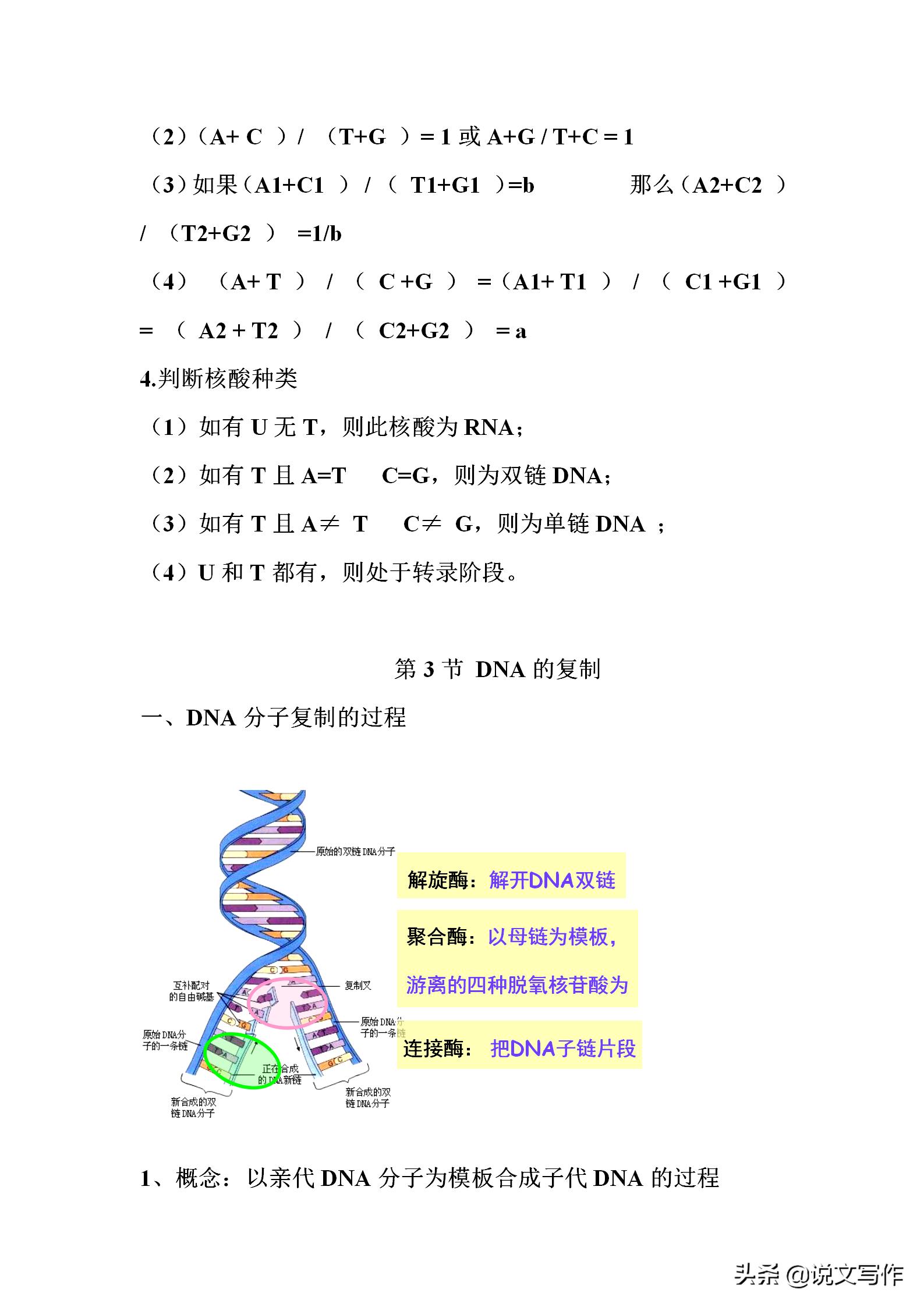 高中生物必修二减数分裂有丝分裂,人教版高中生物必修二课本电子版
