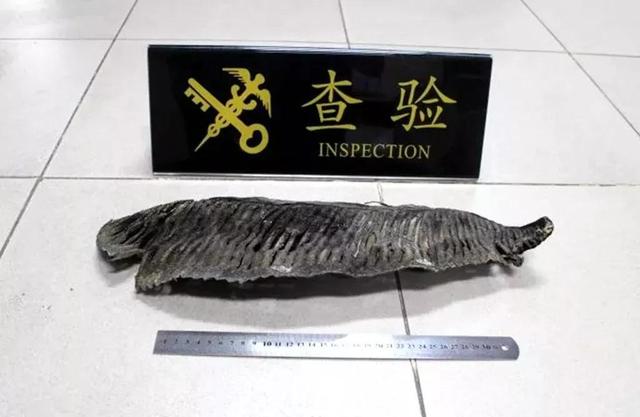 港澳入境旅客携带物品需注意什么,进出港澳不能带什么东西