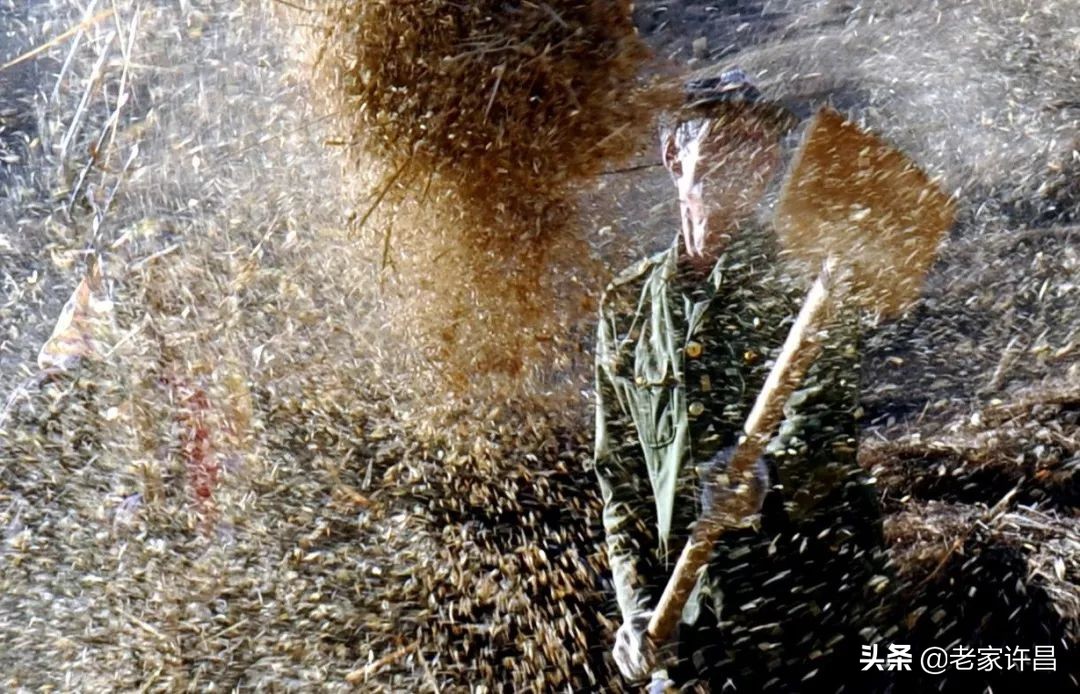 已失传的绝活有哪些,那些快要失传的非遗绝技