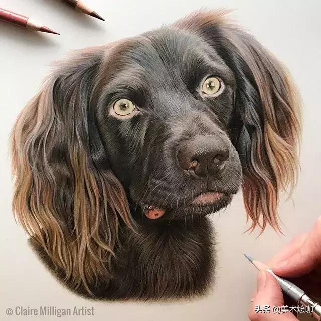 画的比照片还逼真,画的比照片还真实