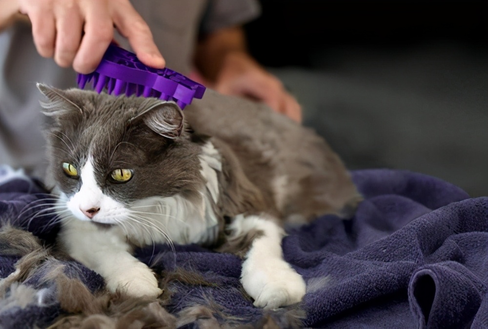 做什么小生意月入2w,月入2万的十个小生意能做吗