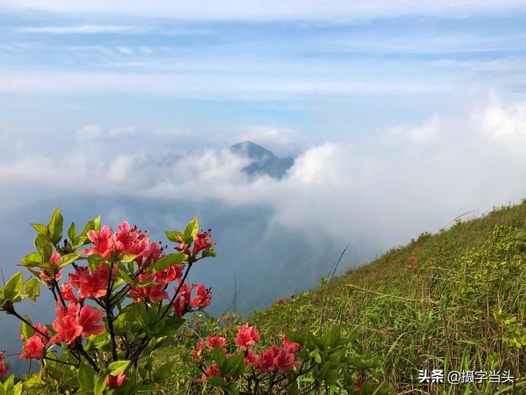 初夏游江西：历经晴、雨、雾，穿越武功山