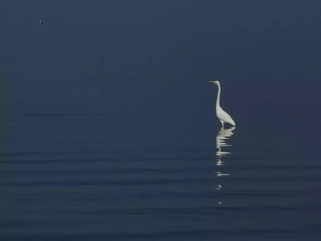 华为p30的镜头模组叫什么,华为p30镜头是蓝宝石的吗