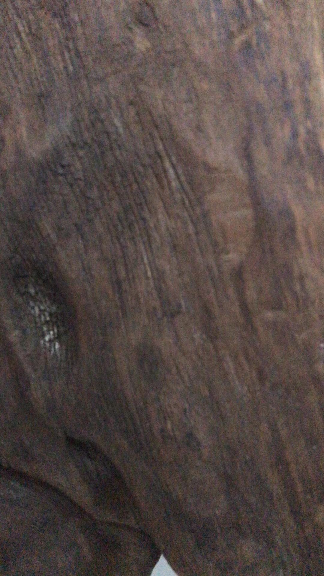 阴沉金丝楠黄料摆件图片,金丝楠阴沉料龙鱼摆件