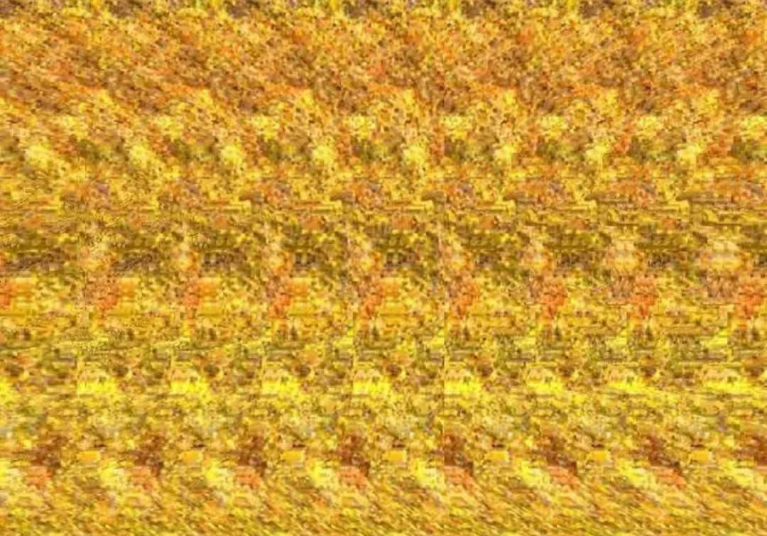 好看又好画的立体东西,超惊艳的立体画