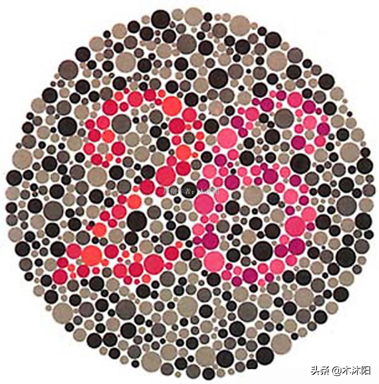 最新版色觉检测图，考驾照必备，这4张图若看错，驾照可能考不了