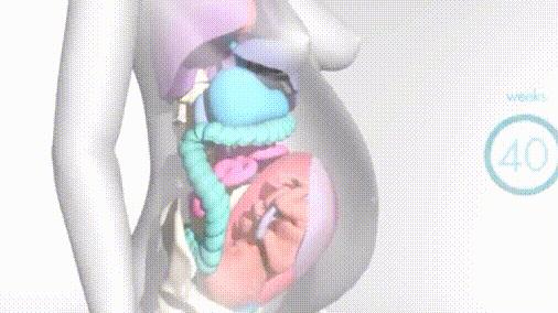 孕期消化不良吃益生菌有用不,孕期消化不良肚子胀气吃什么