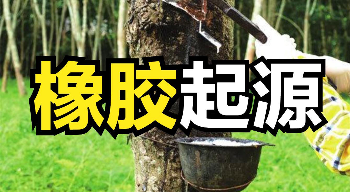 橡胶是怎么从橡胶树里提取的,橡胶人如何被人们发现的