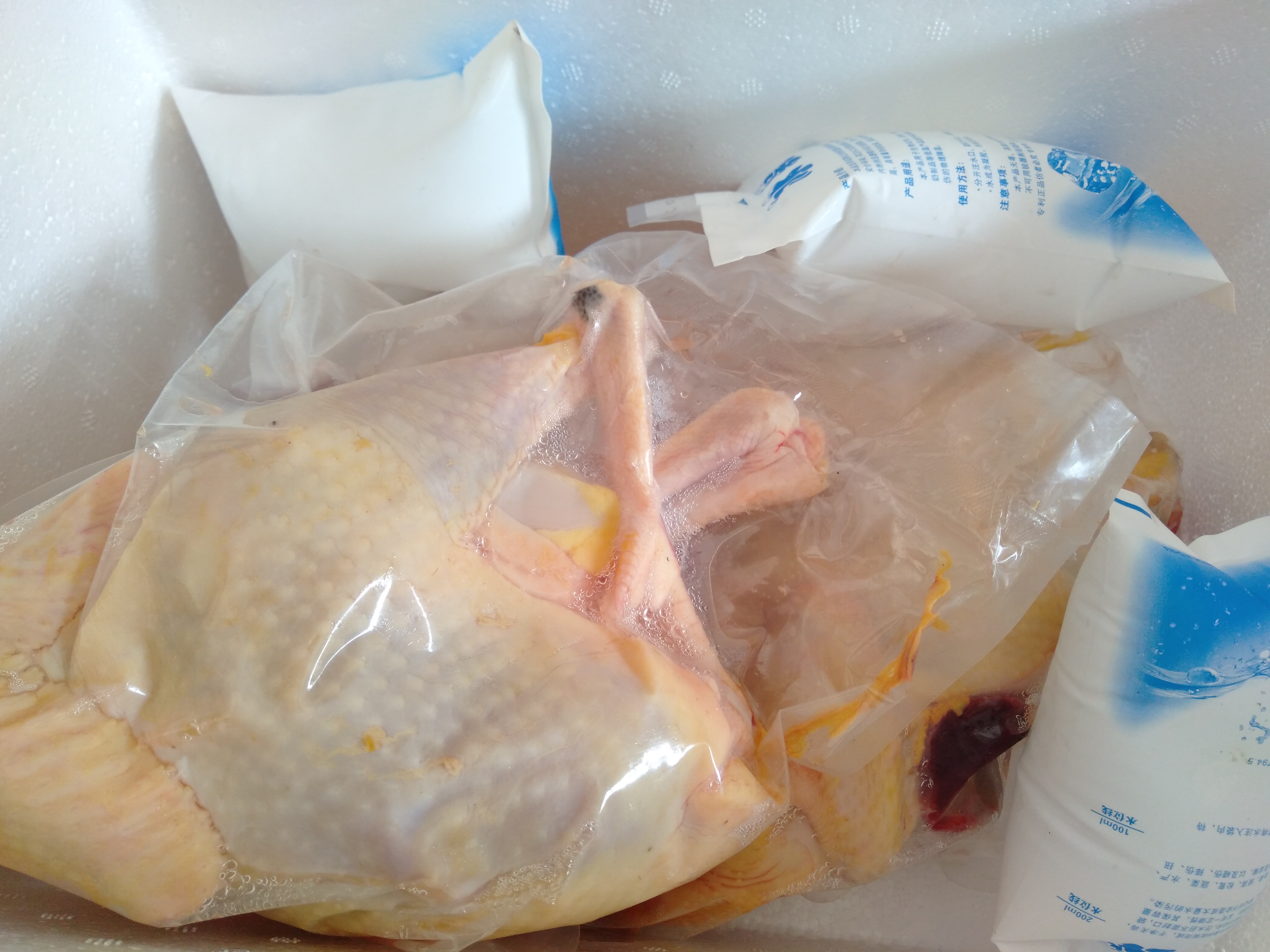 散养土鸡能赔钱吗,土鸡放养就是土鸡吗