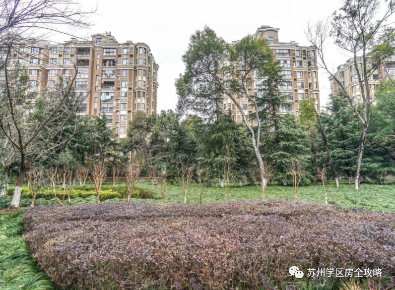 择校攻略｜周边别墅成群的金鸡湖学校