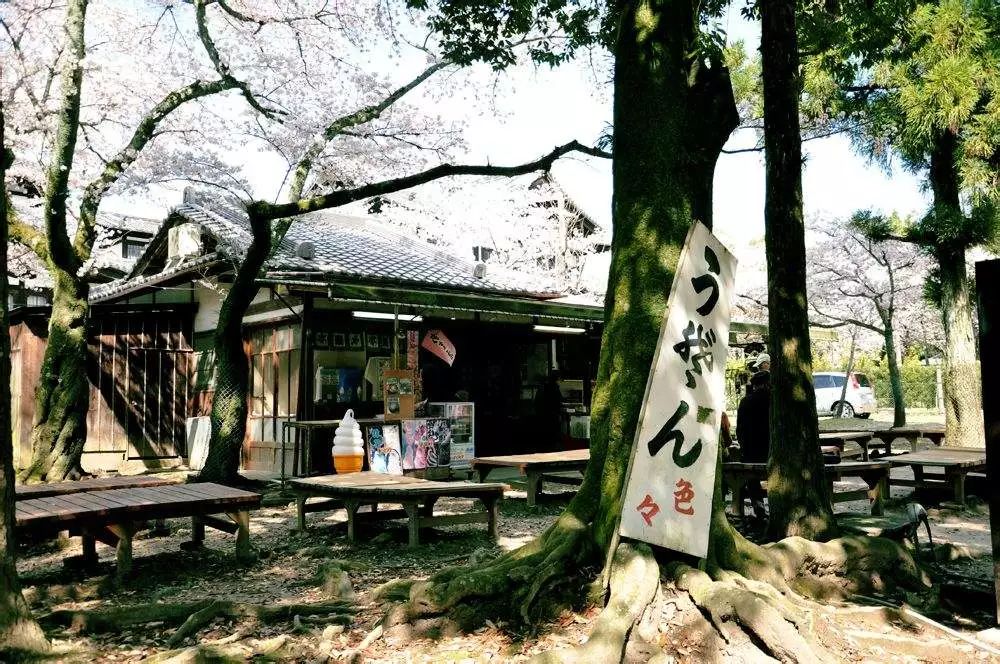 为了一群鹿而去一座城!日本奈良如何从“穷乡下”逆袭...