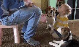 这样的带娃方式谁能接受得了,不靠谱的爹是怎么带娃的