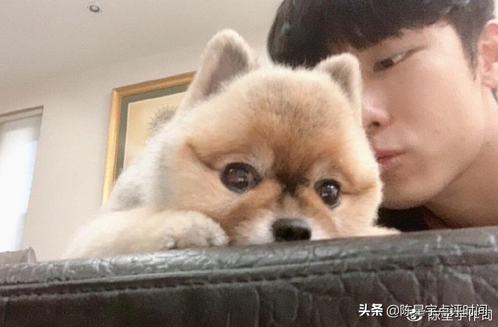 曼谷封城后的泰国偶像们“憋疯了”泰剧外的明星居家才艺大曝光