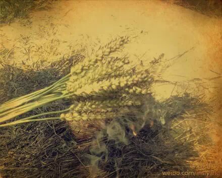 机器铃砍菜刀原版视频,机器铃砍菜刀啥意思