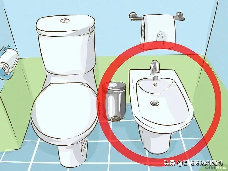 为什么西班牙家庭有两个坐便器？