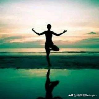 入门基础瑜伽每天必练8个动作,8个入门级瑜伽动作适合初学者