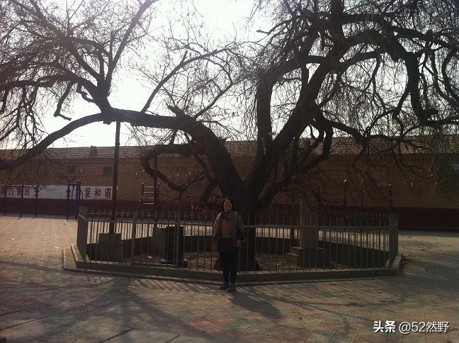 桑干河原唱完整版,桑干河诗句