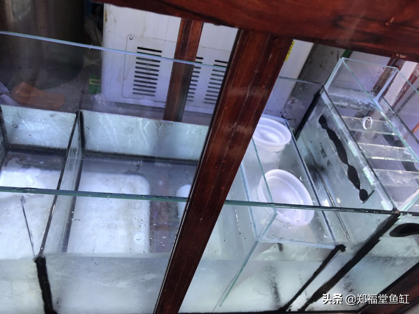 鱼缸行业,鱼缸行业赚钱吗