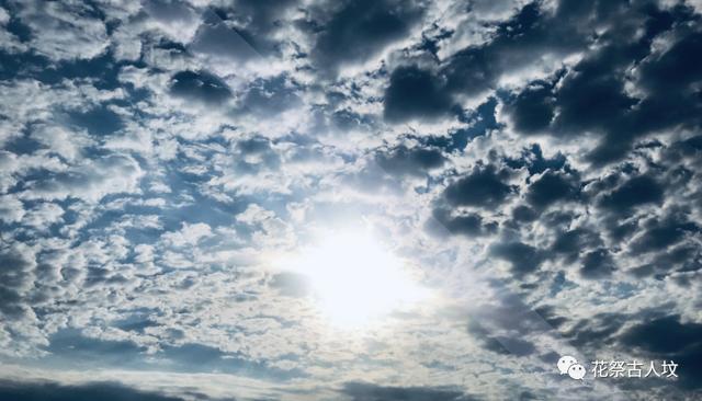 努力做到让自己百毒不侵,善待自己百毒不侵