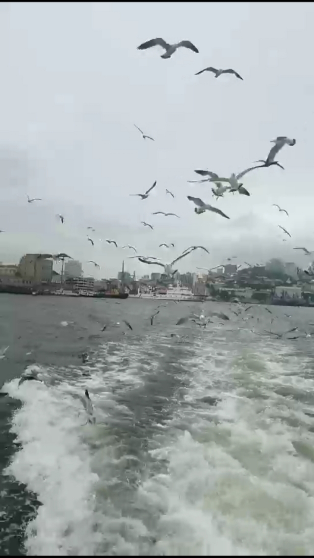 去海参崴应该注意的事项,海参崴可以呆几天