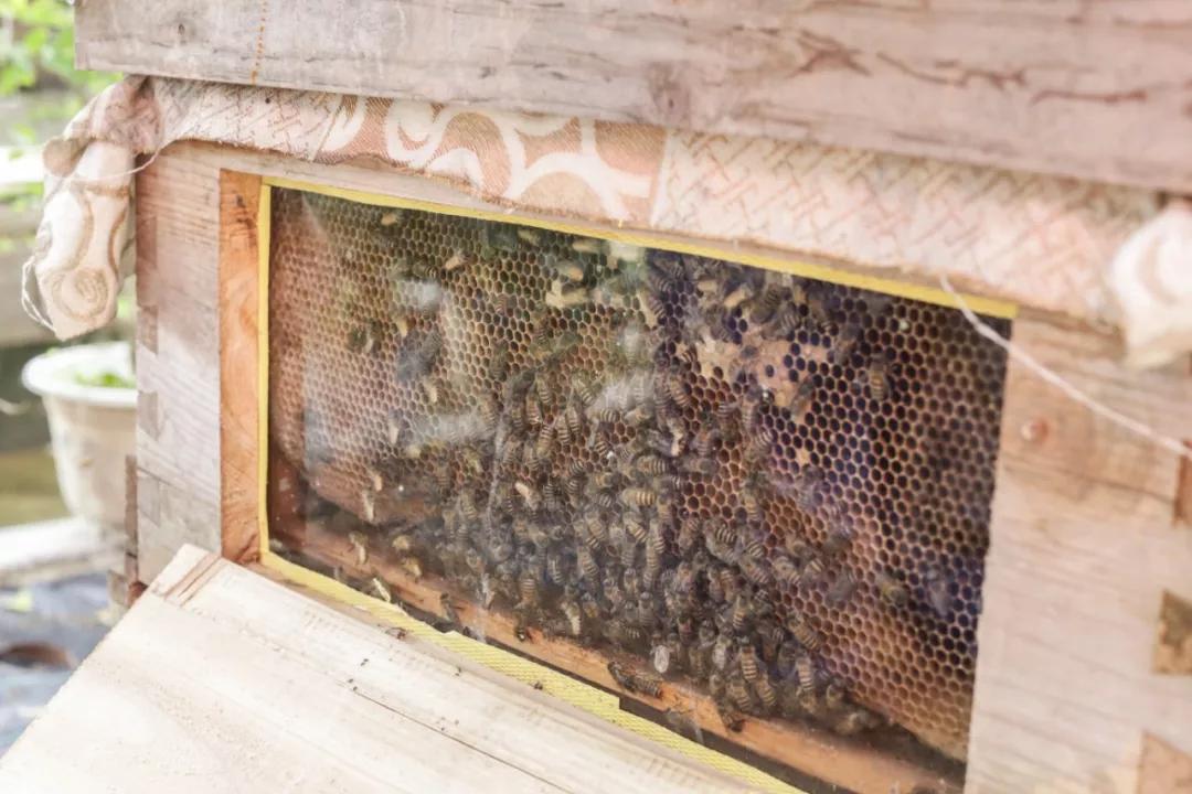 巴南又能耍又有吃的,重庆有什么美食巴南区