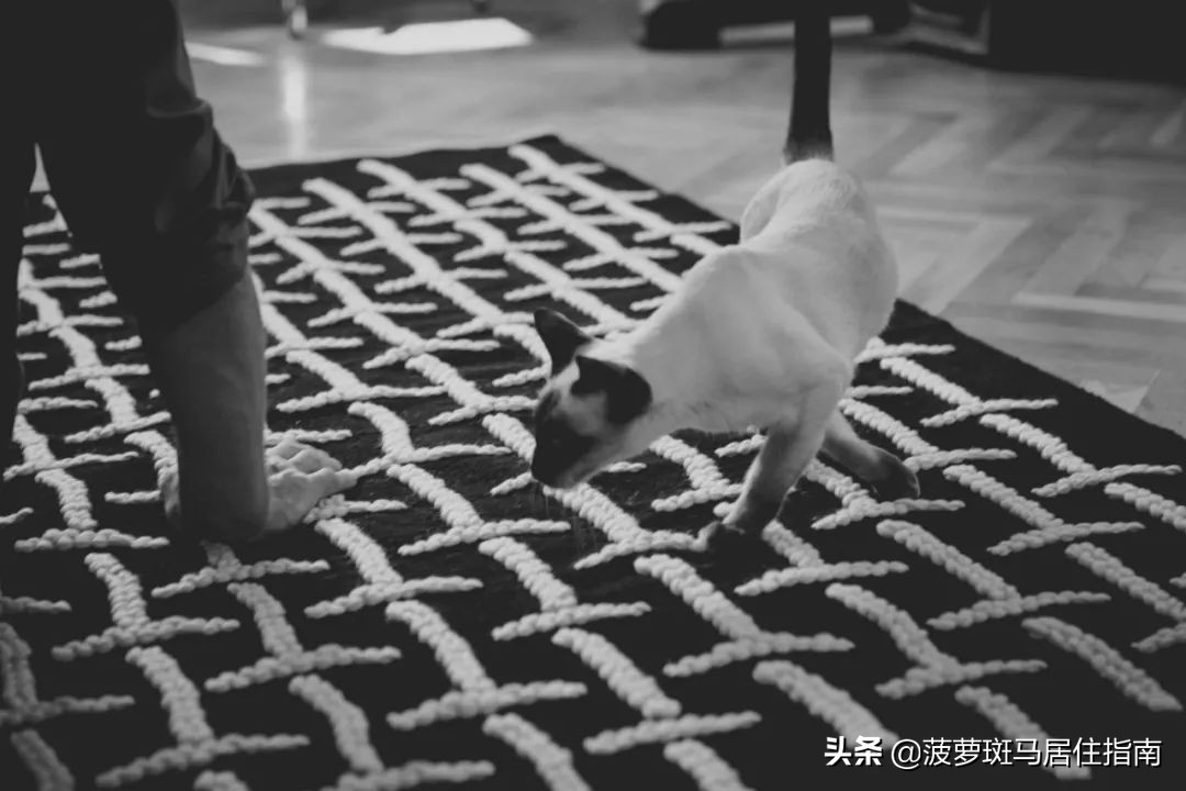 宜家特萨曼斯地毯,宜家特格弗林地毯