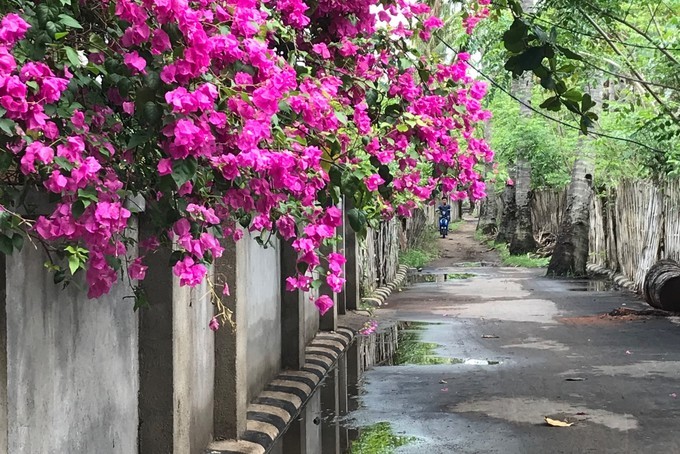 在乌布打个盹然后去吉利岛撒欢