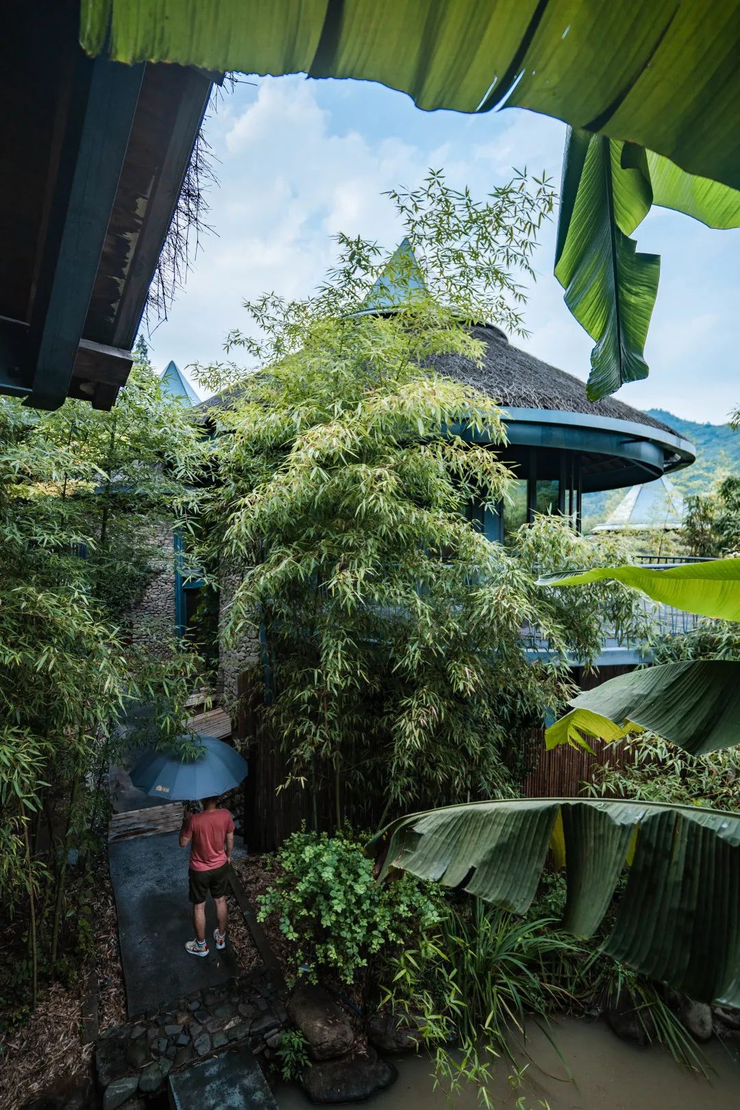 巴厘岛绿野仙踪,巴厘岛住进星空顶梦幻蘑菇屋