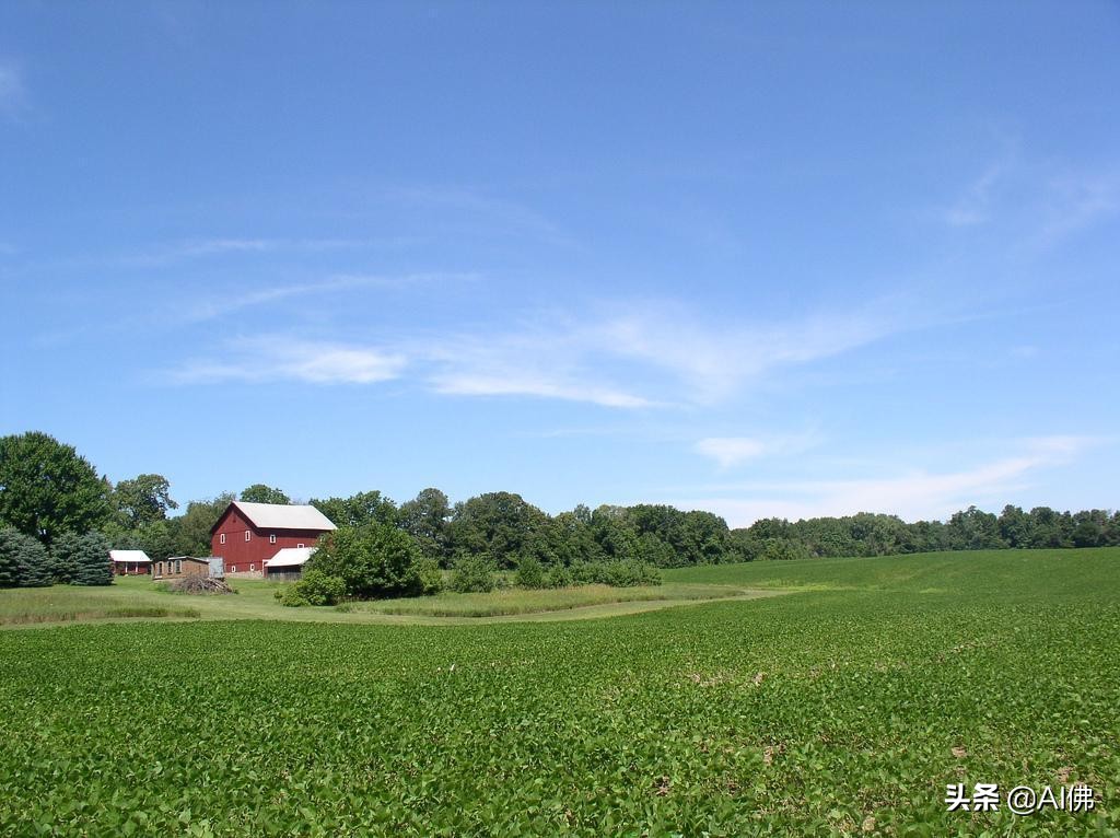 美国农田最多的州,美国哪个州的农场土地肥沃