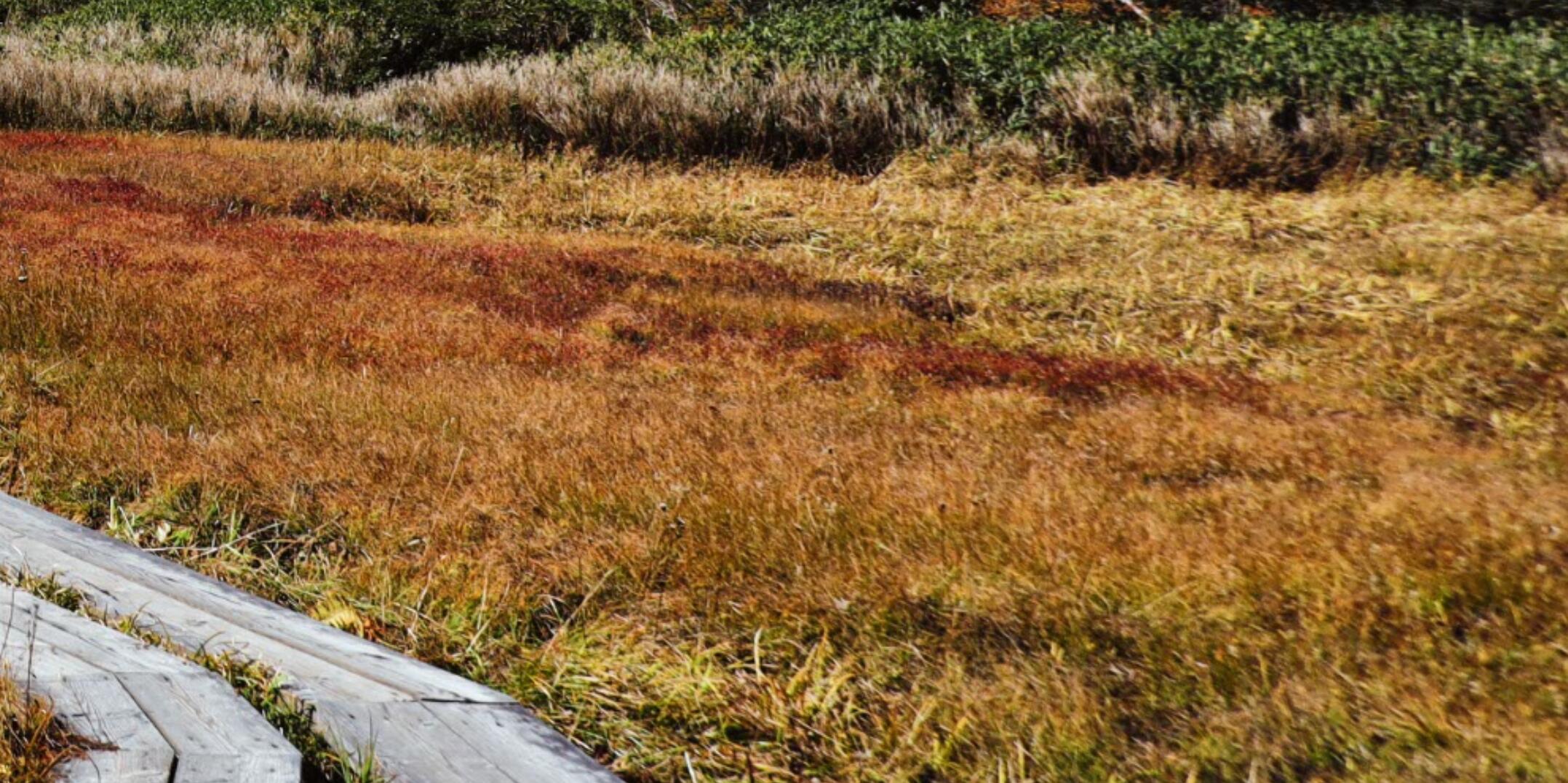 佳能apsc画幅eosr7已经开始测试了,eosm6markii教程