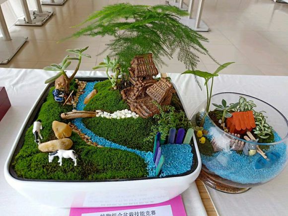 学考热门学校,学考热门专业院校