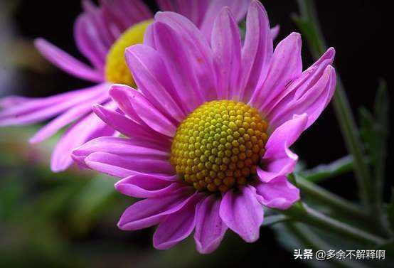 经典微信说说语句心情短语,微信说说句子大全简短唯美