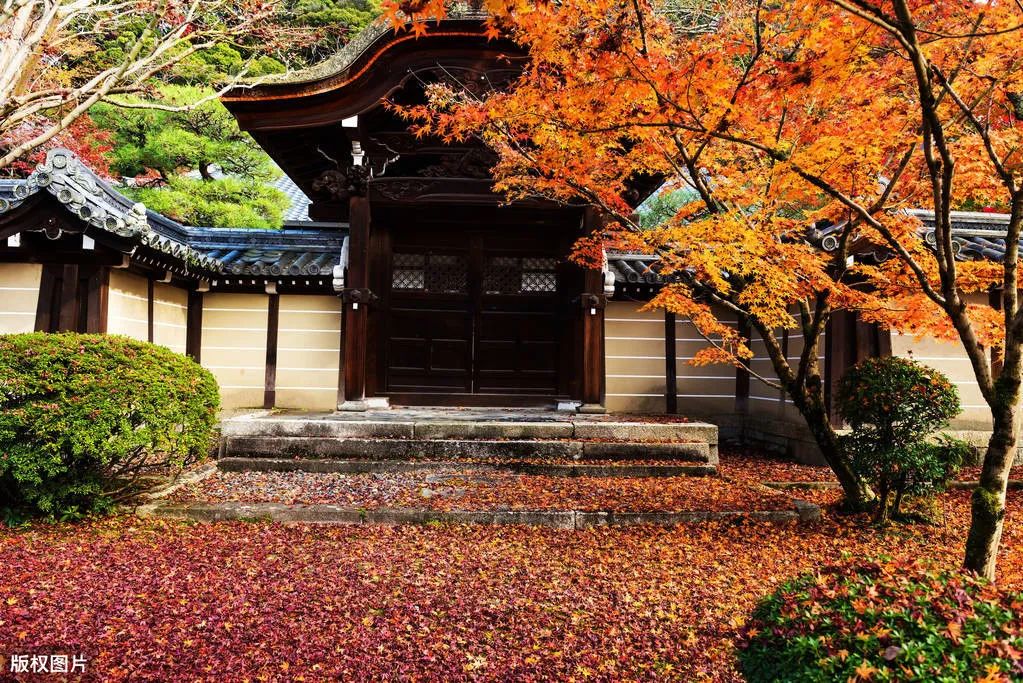 长生人寿重疾险靠谱吗,长生优贝健康保险