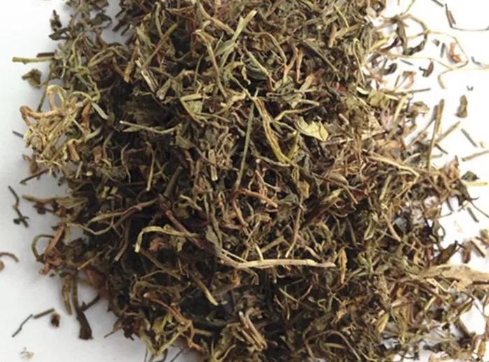 每日中药,中药半边莲和半枝莲的功效与作用