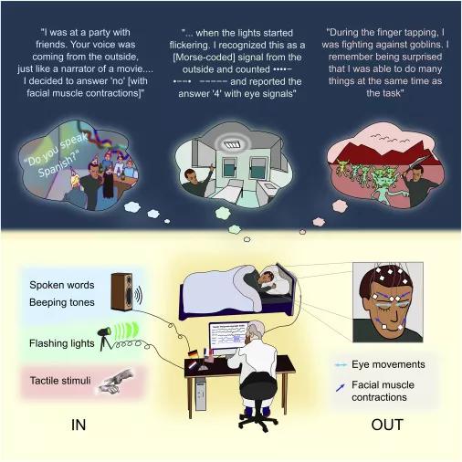 怎么抑制自己吃东西的欲望,怎么才能止住吃东西的欲望