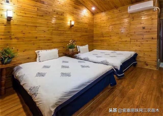 黄姚古镇大黄牛客栈团购优惠,贺州市昭平县黄姚古镇大黄牛客栈