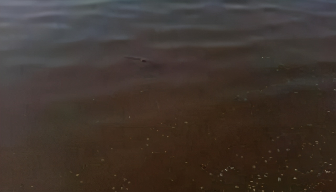 裸藻处理方法,死了的绿藻怎么处理