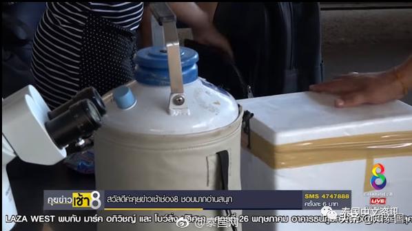 郑爽代孕只是小儿科，东南亚的“代孕工厂”，还有更多隐藏的真相